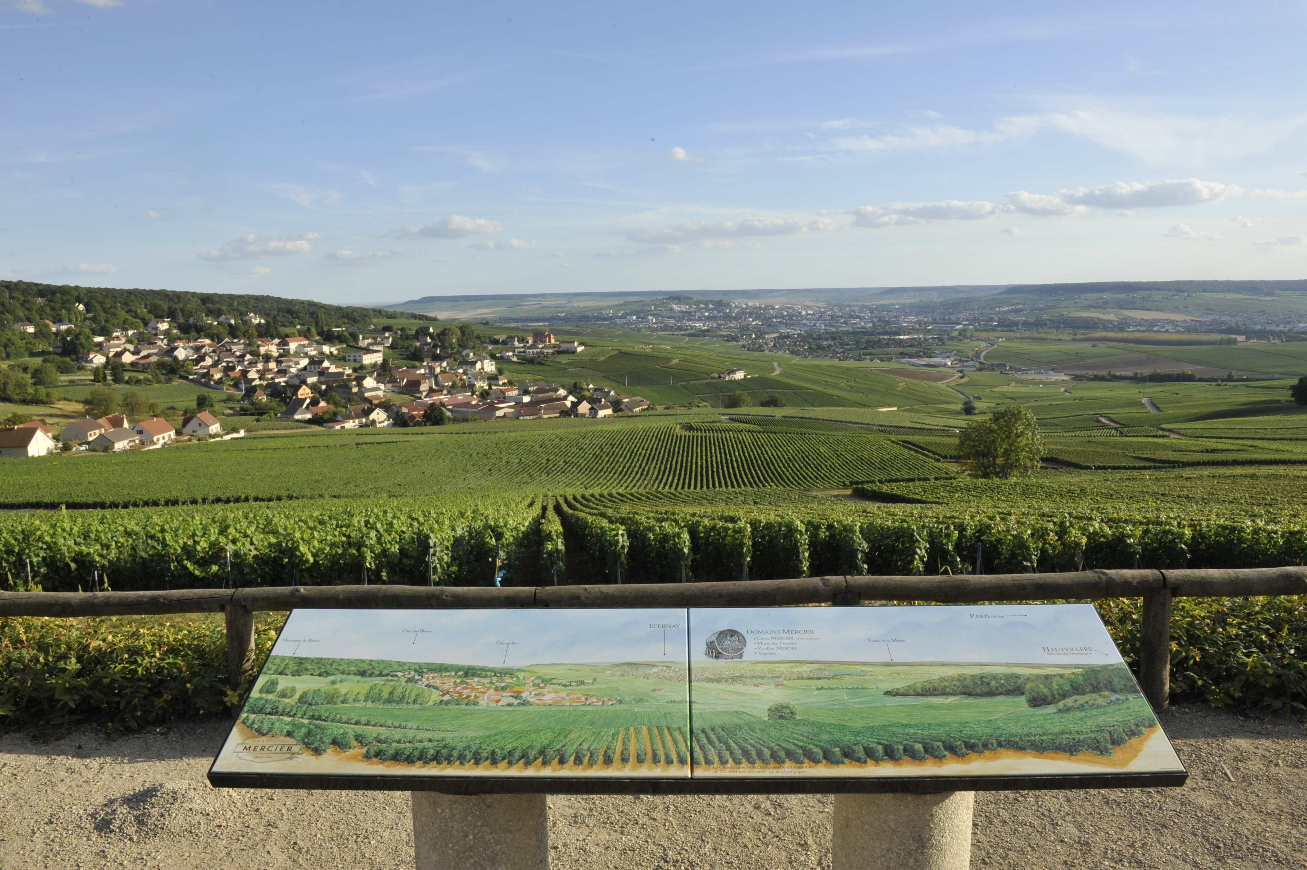 Les Coteaux historiques, là où naquit le Champagne Unesco