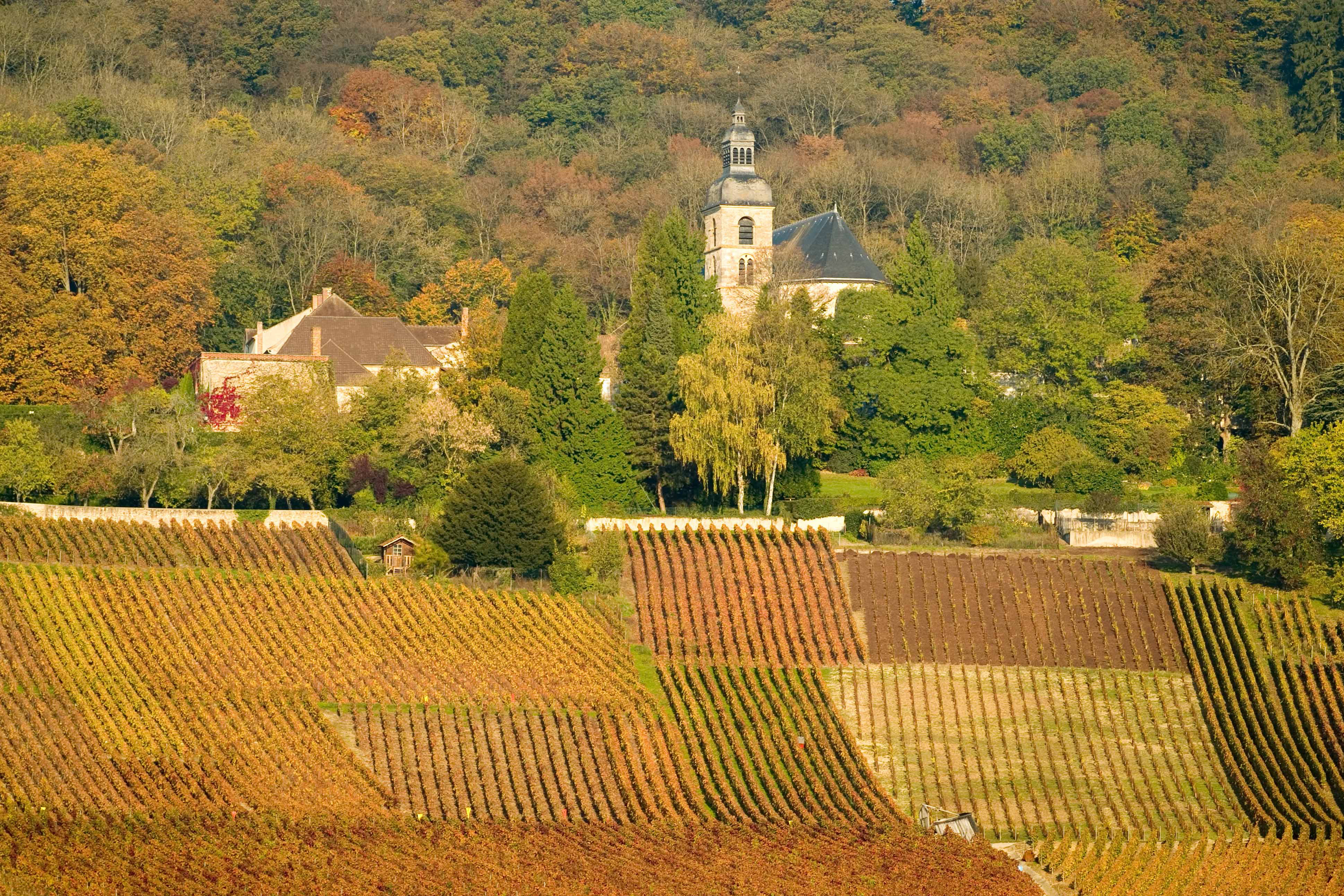 The birthplace of Champagne Unesco