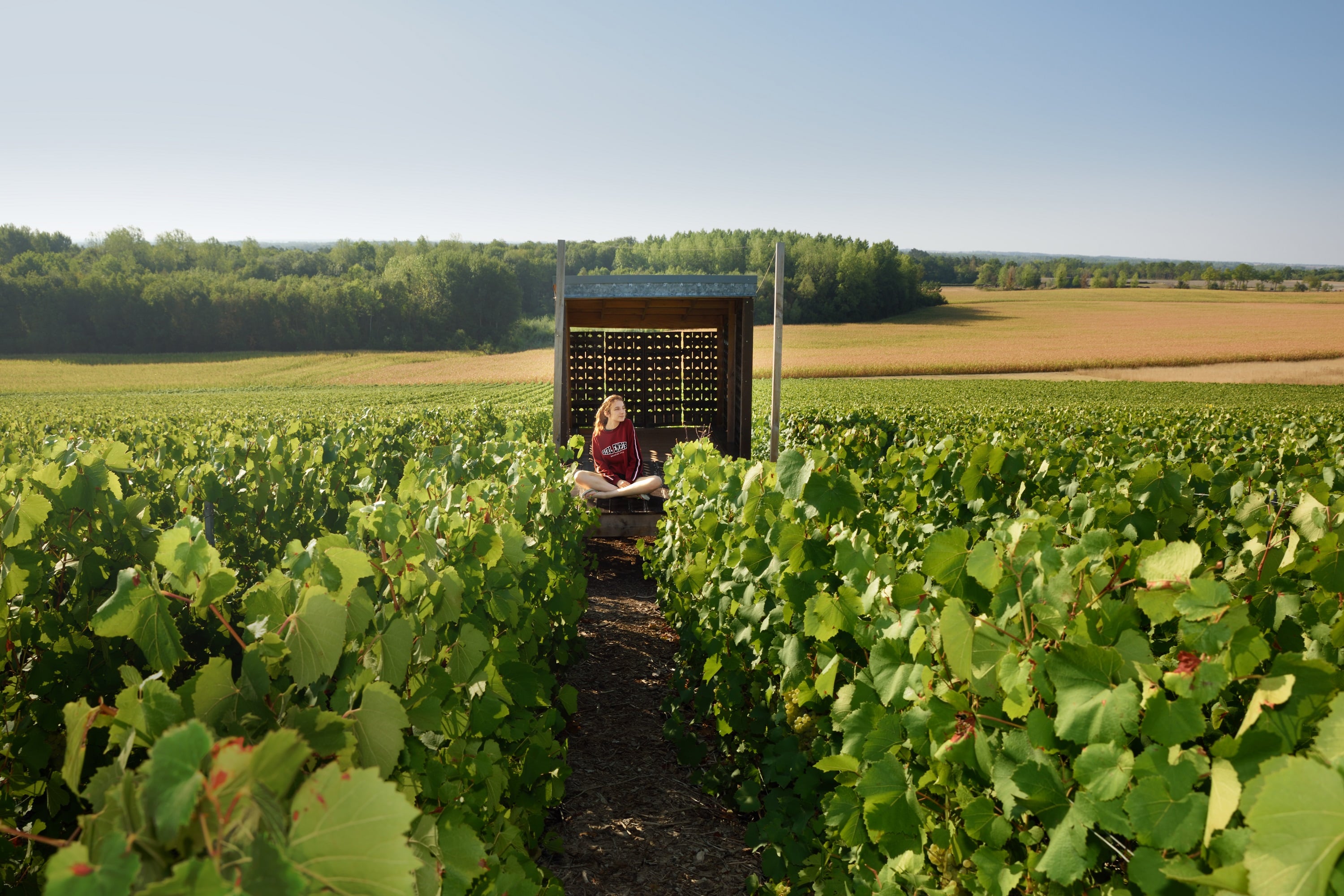 Coteaux du Vitryat