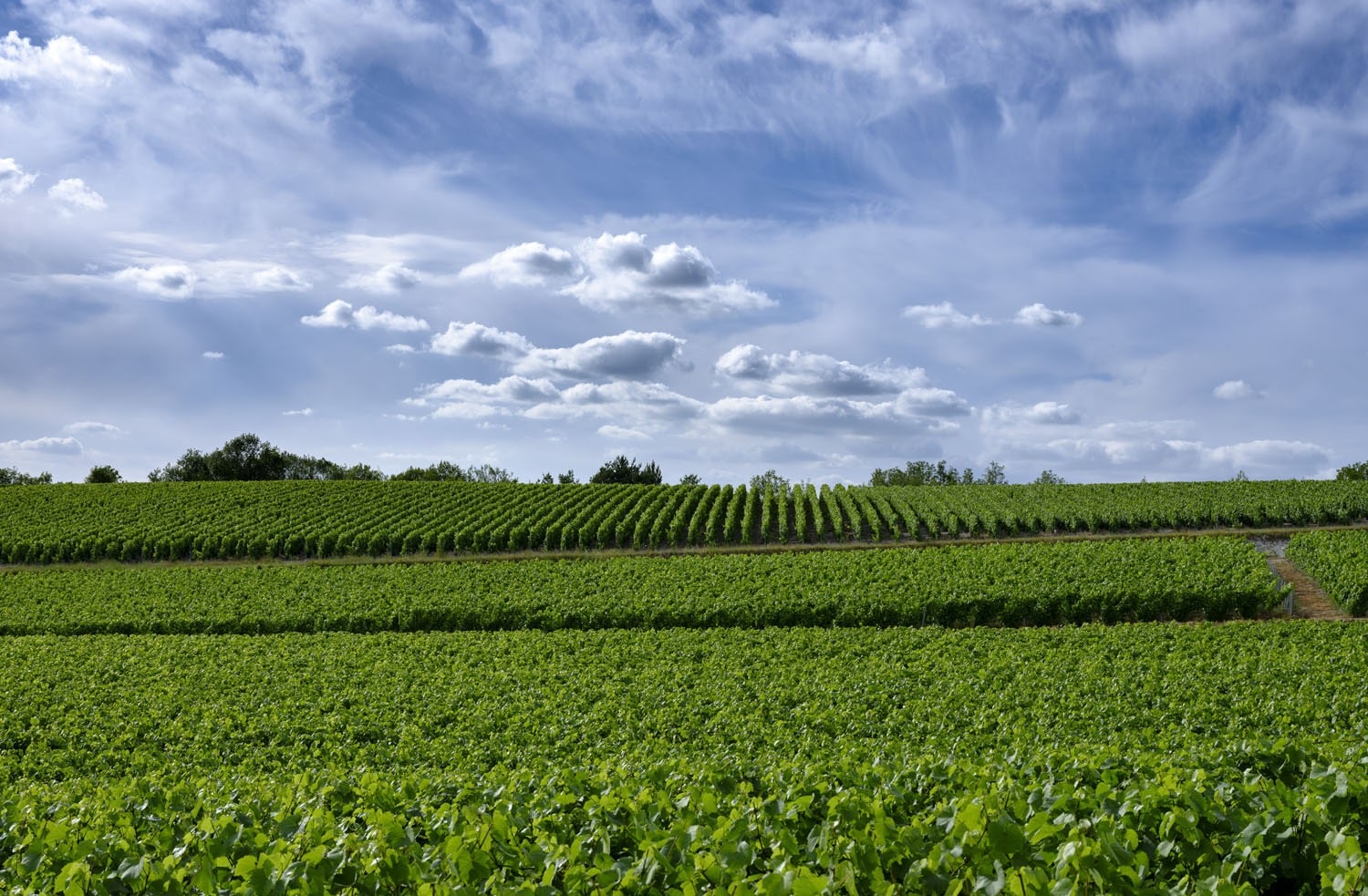 Coteaux du Vitryat