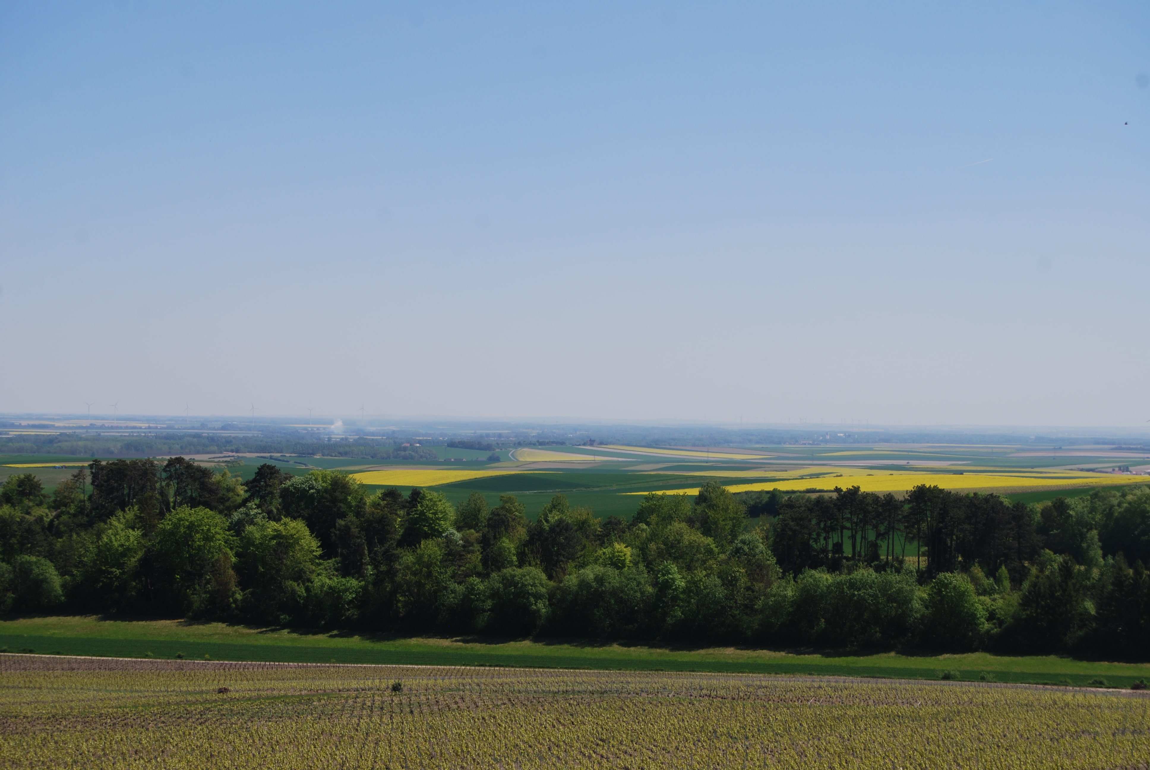 Coteaux Sézannais