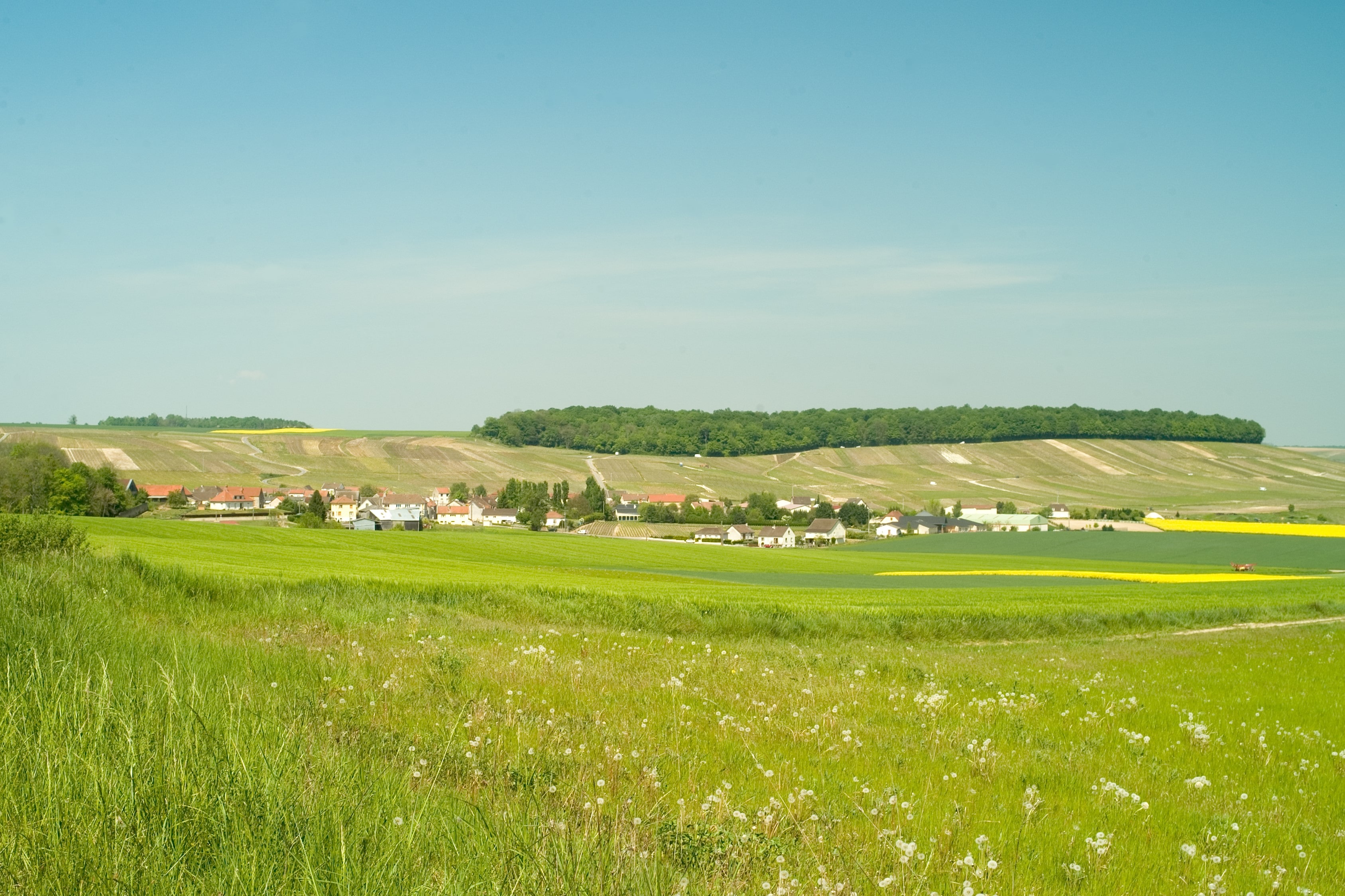 Coteaux Sézannais