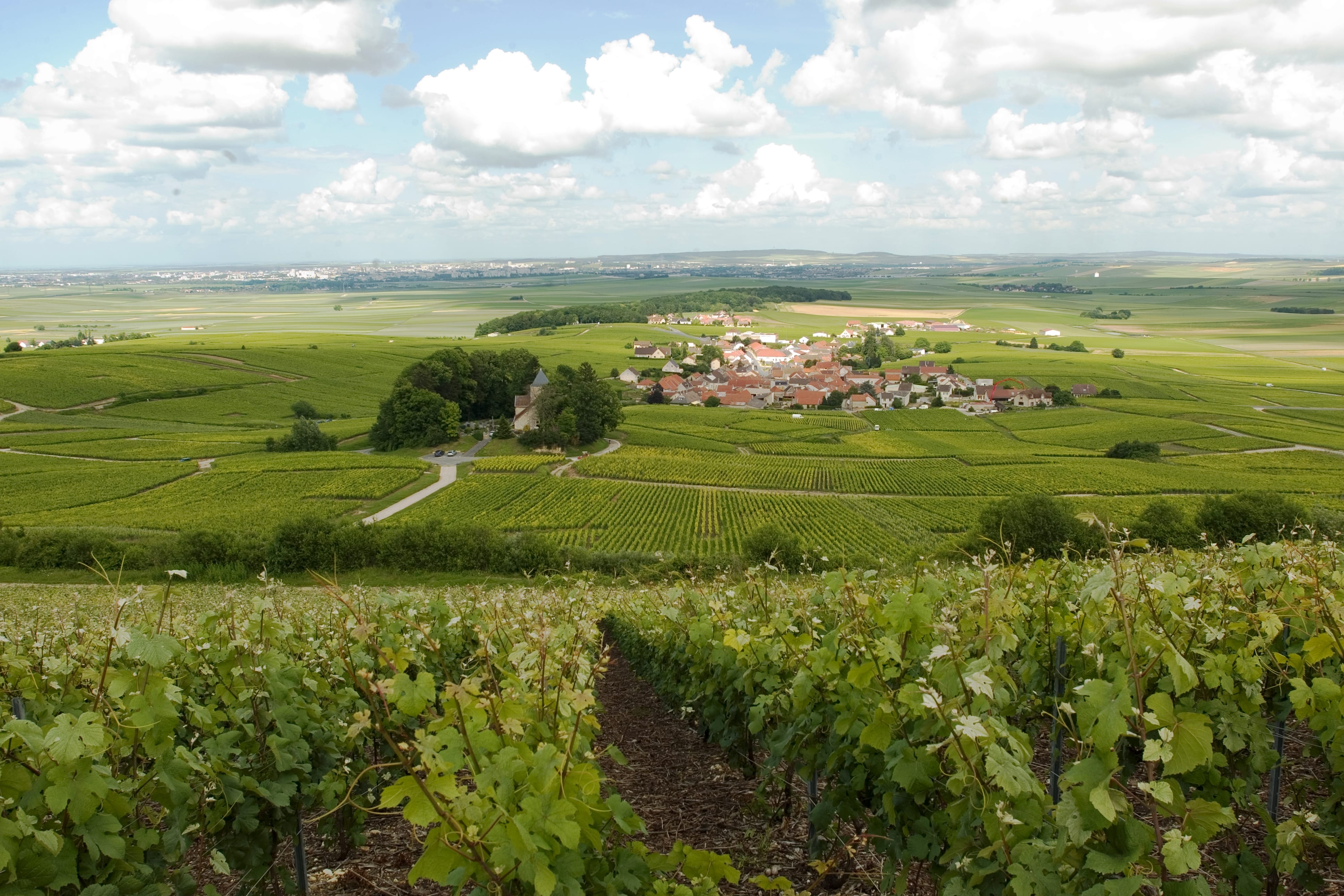 Montagne et région de Reims