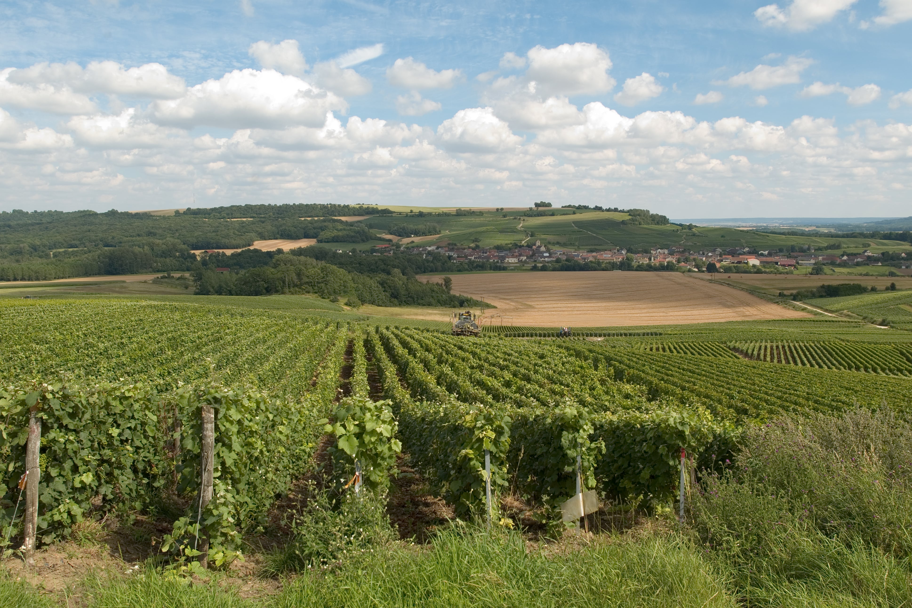 Massif de Saint-Thierry