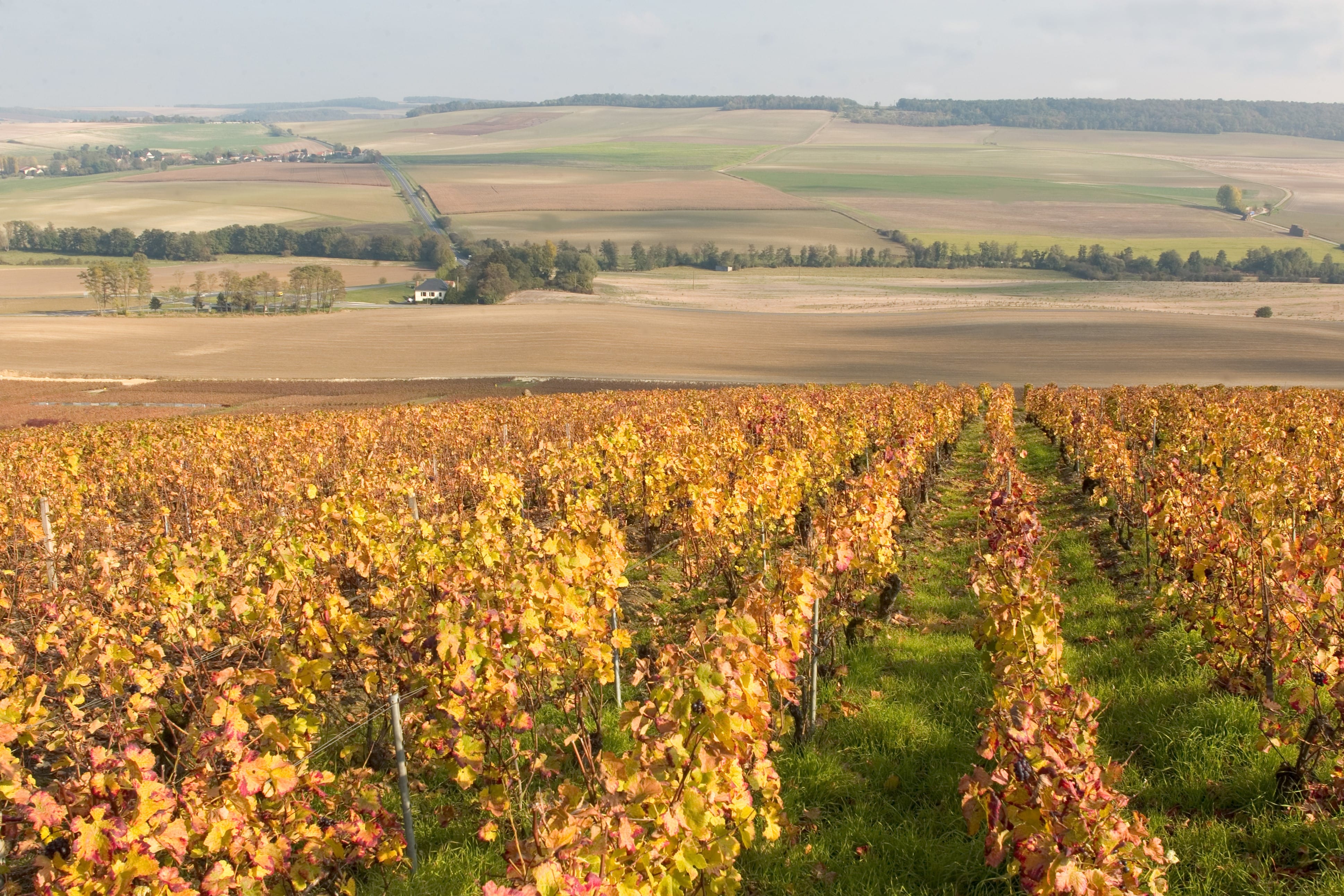 Vallée de l’Ardre 