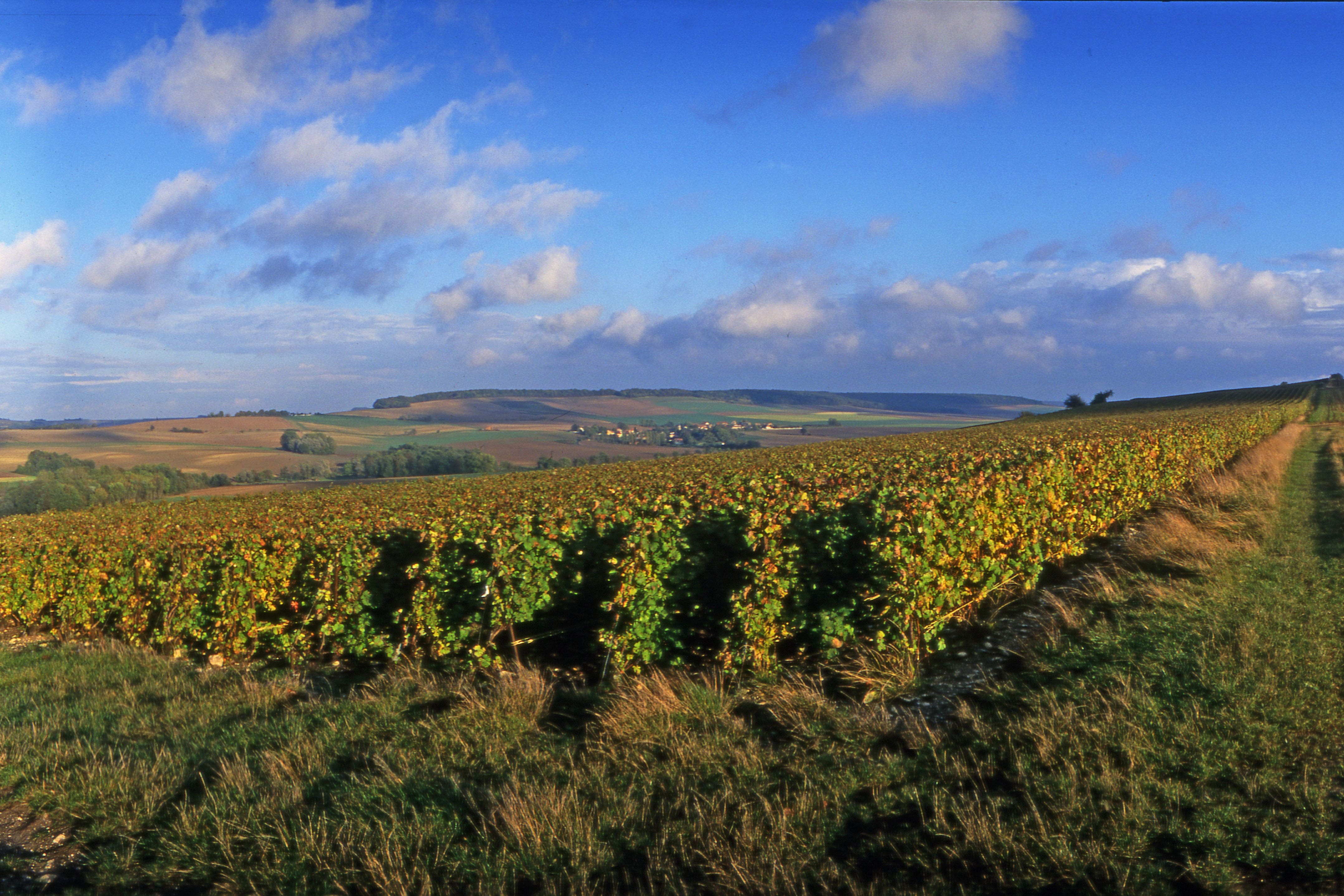 Vallée de l’Ardre 