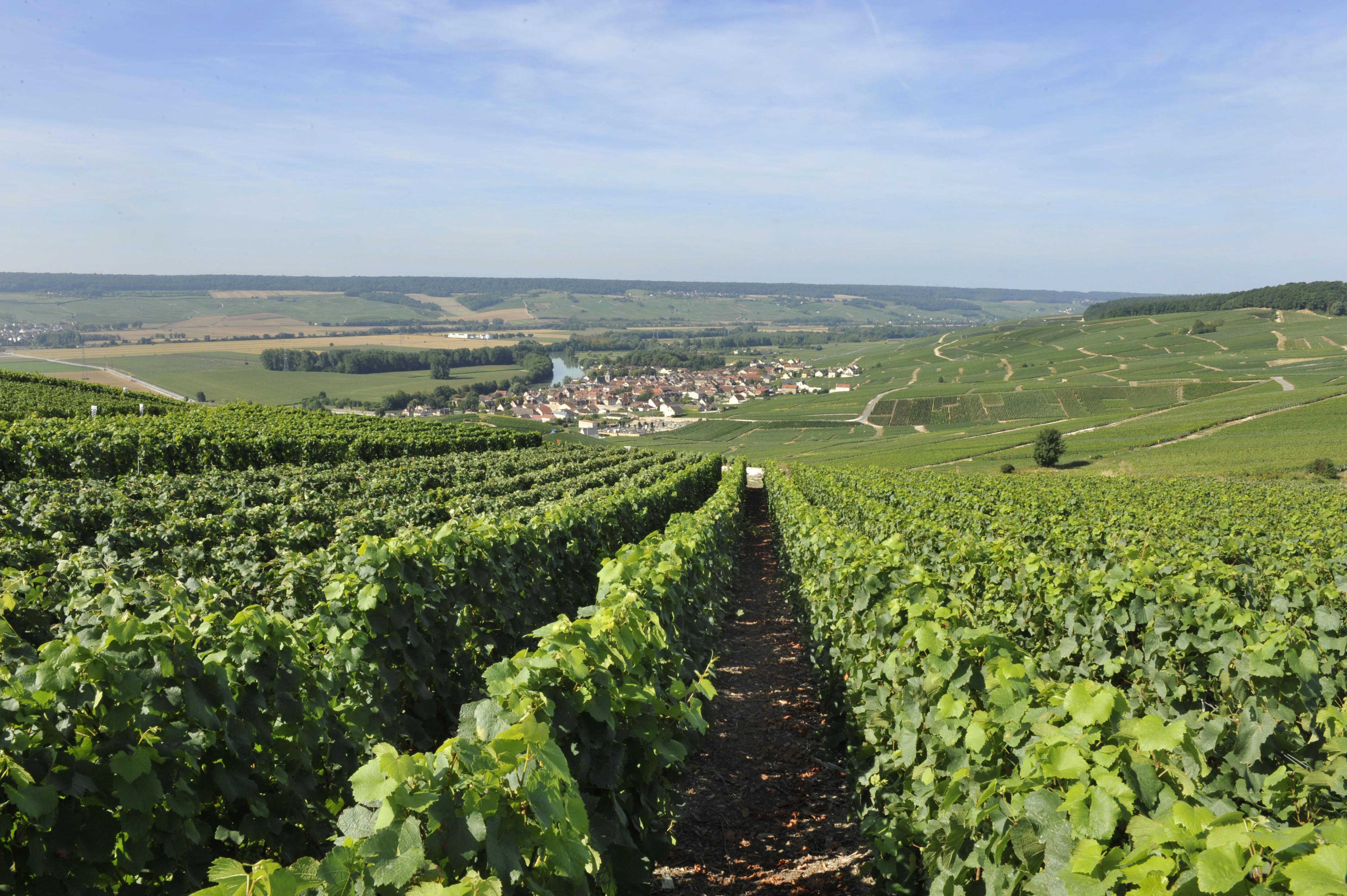 Vallée de la Marne :