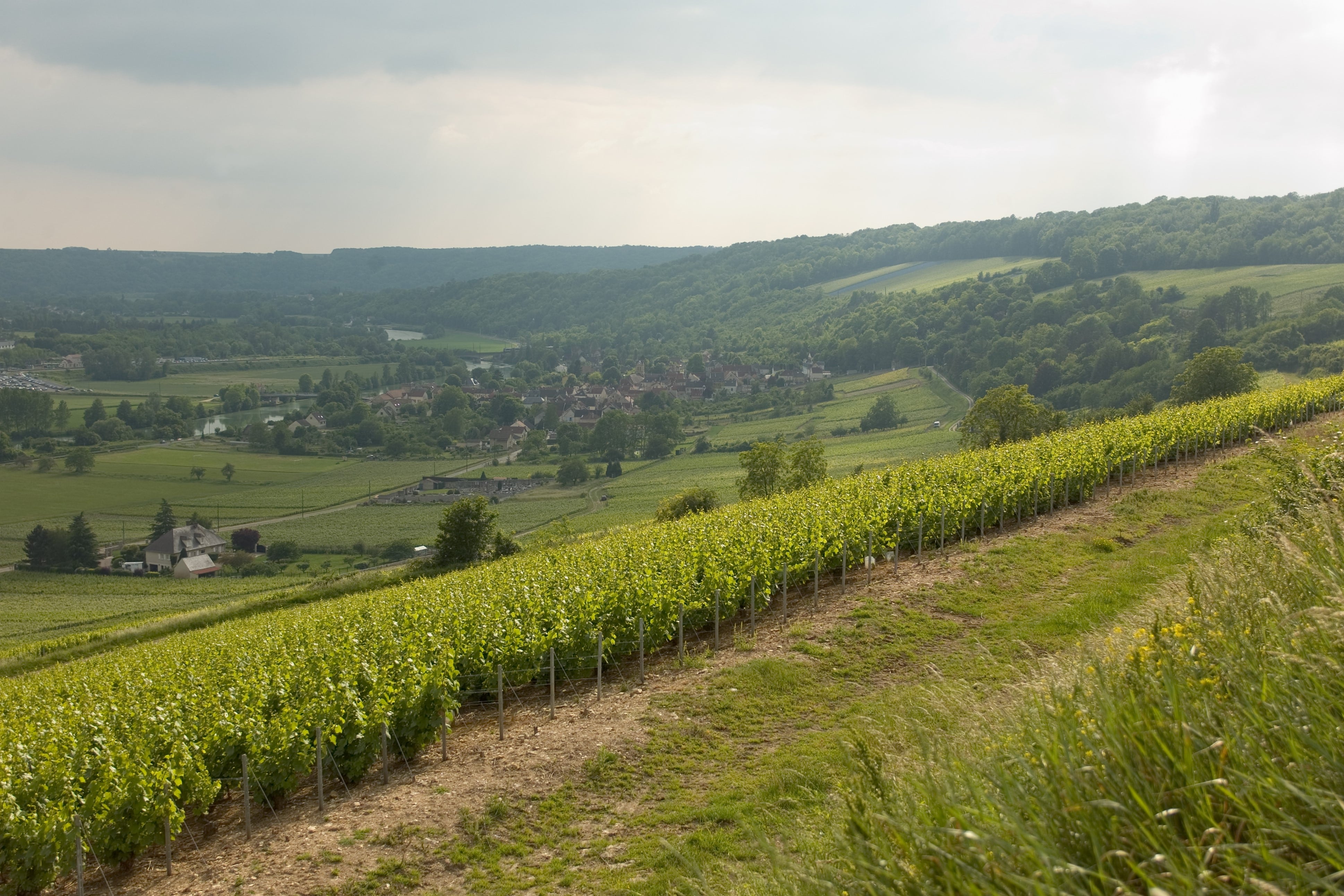 Vallée de la Marne Ouest