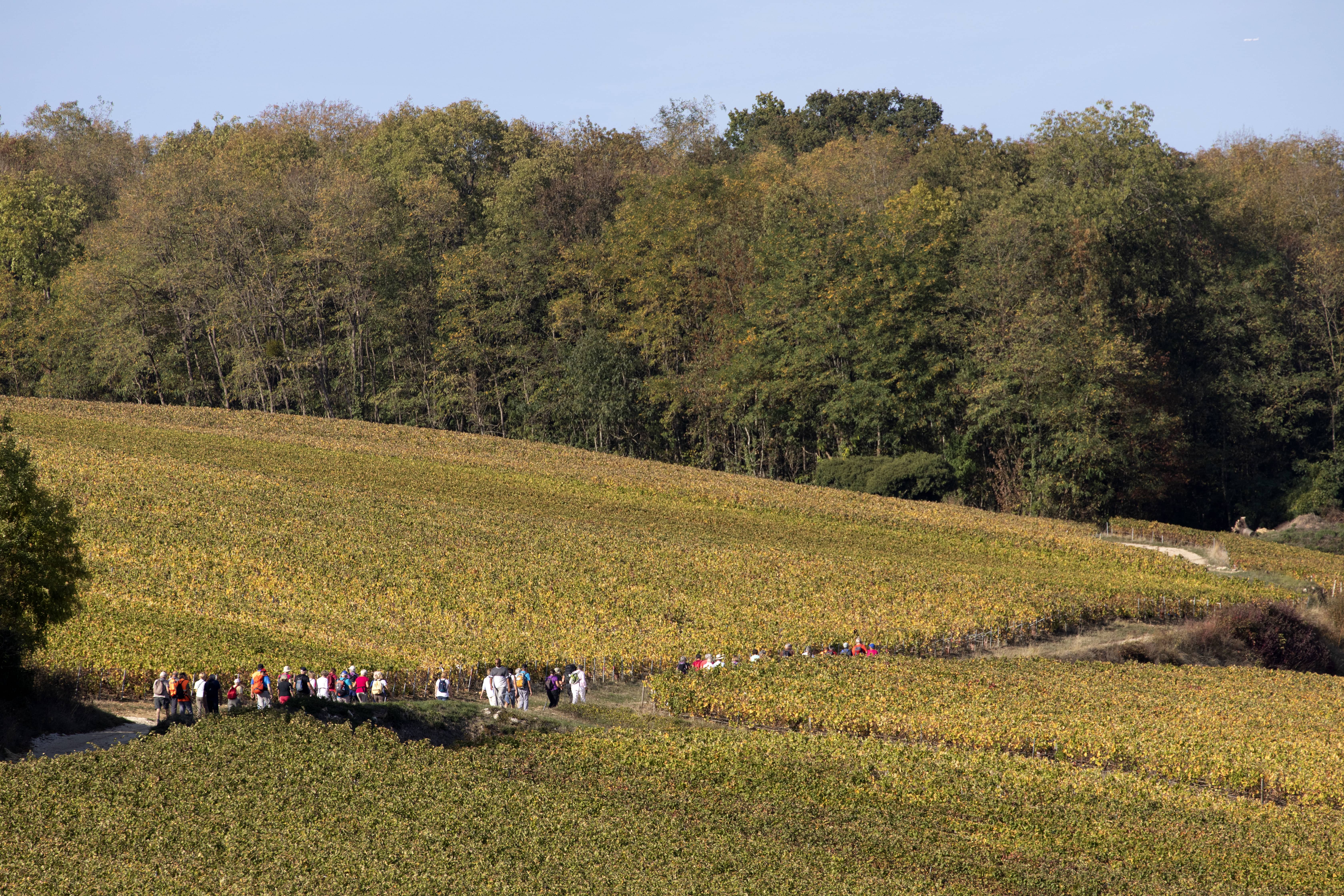 Vallée de la Marne Ouest