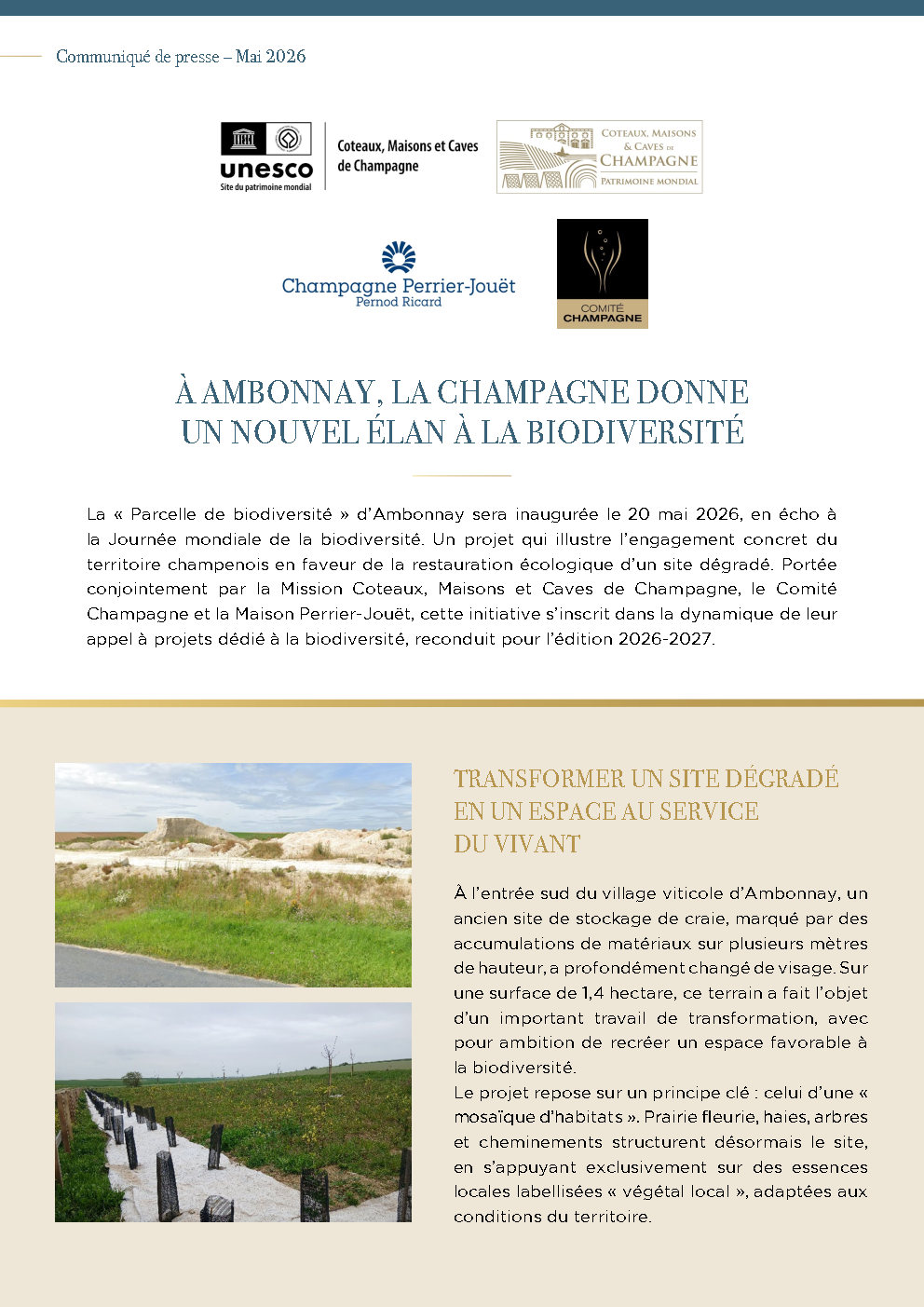 CP ambonnay