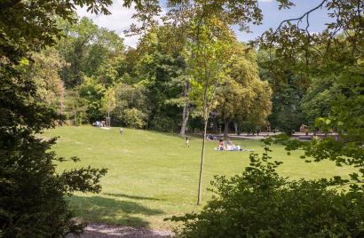 Parc de Champagne