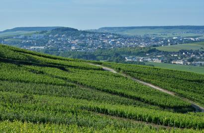 Office de tourisme d'Epernay - Pays de Champagne