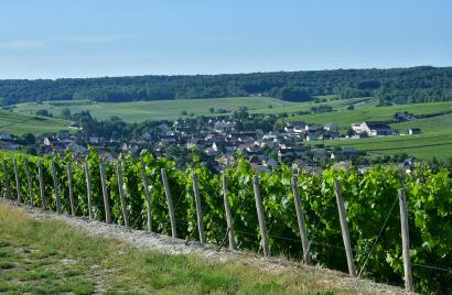 Point de vue de Grauves