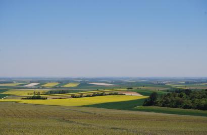 Coteaux Sézannais