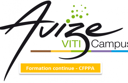 logo cfppa