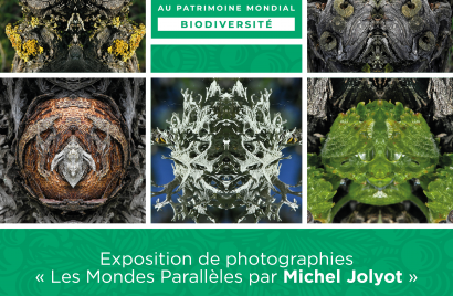 Exposition | Les Mondes parallèles de Michel Jolyot 