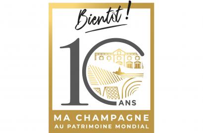 10 ans de l’inscription – Les Ambassadeurs prêts à jouer le jeu !