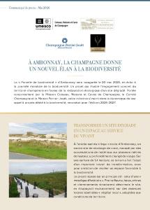 CP ambonnay