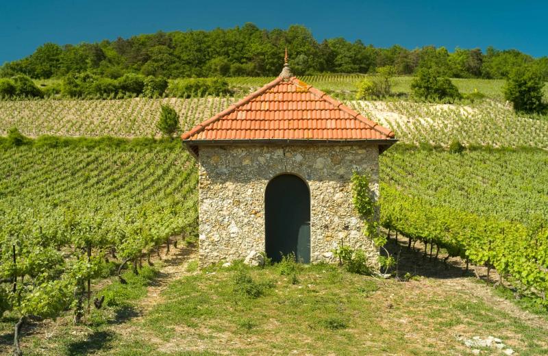 Visioconférence: petit patrimoine champenois : cabanes, cadoles et loges de vignes