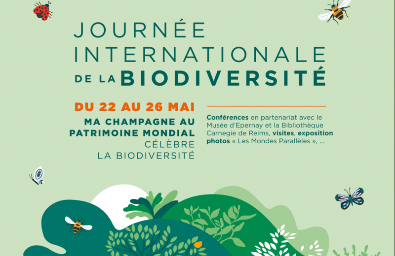 Journée(s) internationale(s) de la biodiversité 