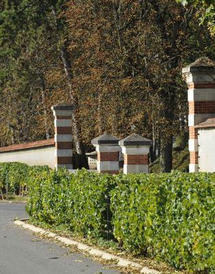 Maison de Champagne Moët & Chandon L'Orangerie (France)