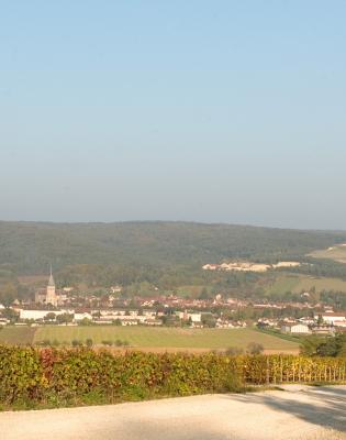 Office de Tourisme de la Côte des Bar en Champagne