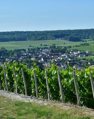 Point de vue de Grauves