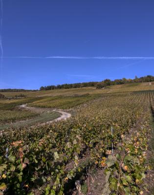 Vallée de la Marne Ouest